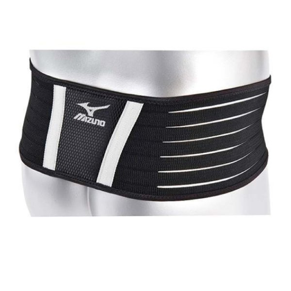 Biogear Waist Supporter