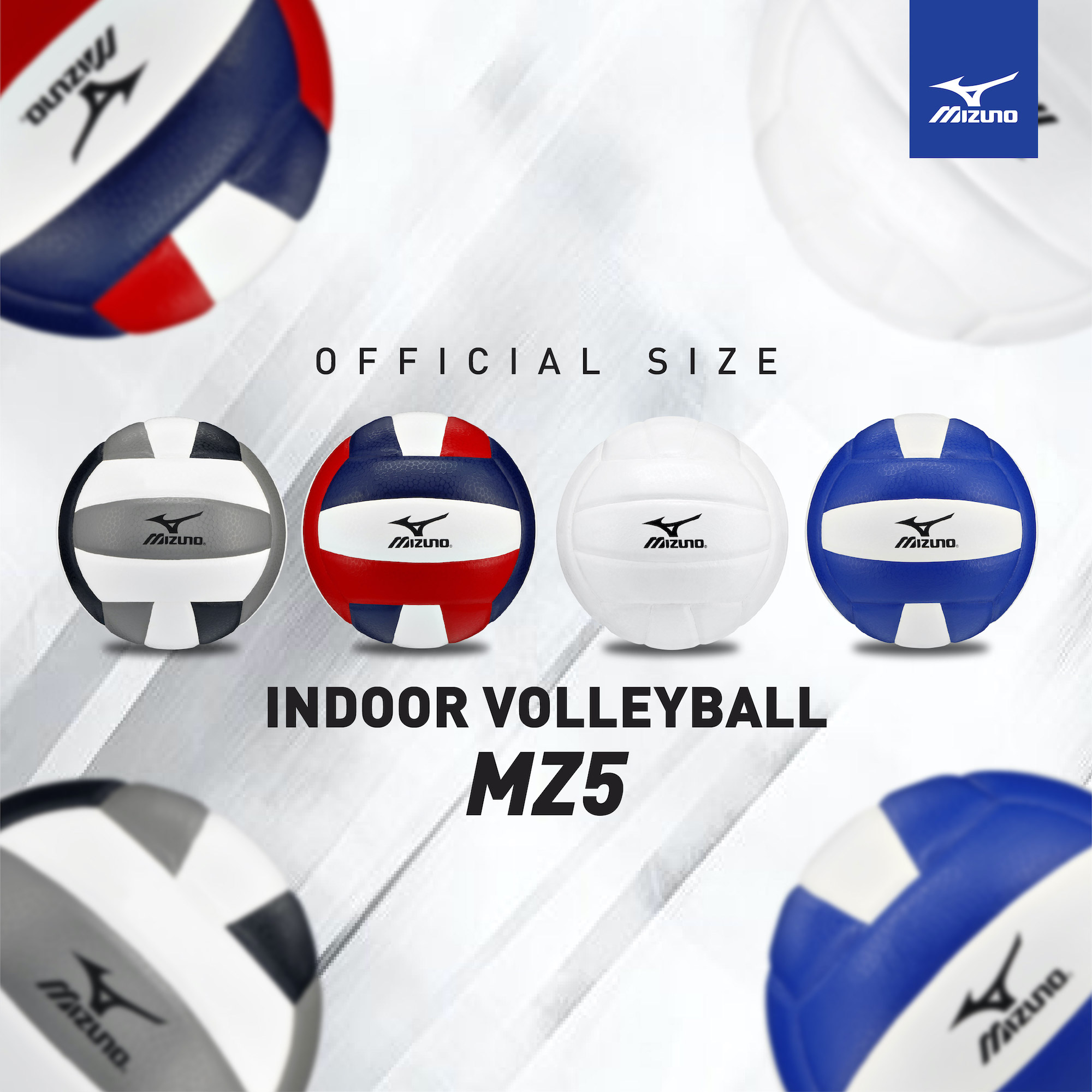 Mizuno MZ5 Volleyballs