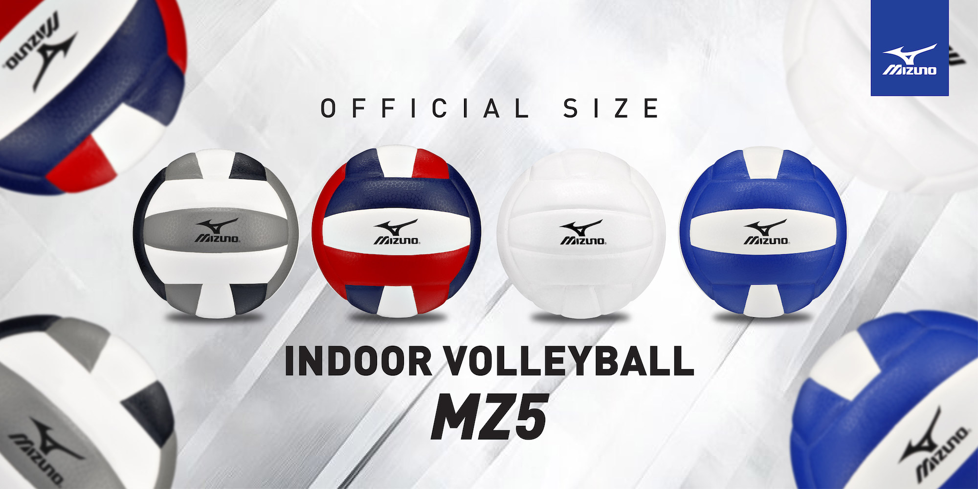 Mizuno MZ5 Volleyballs