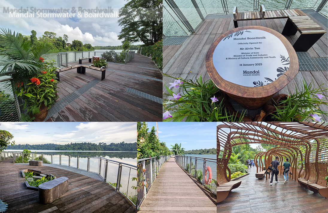 Mandai Stormwater &amp; Boardwalk