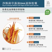 净斯菌草藻油DHA液体胶囊 Cordyceps militaris Algae oil DHA liquid capsules