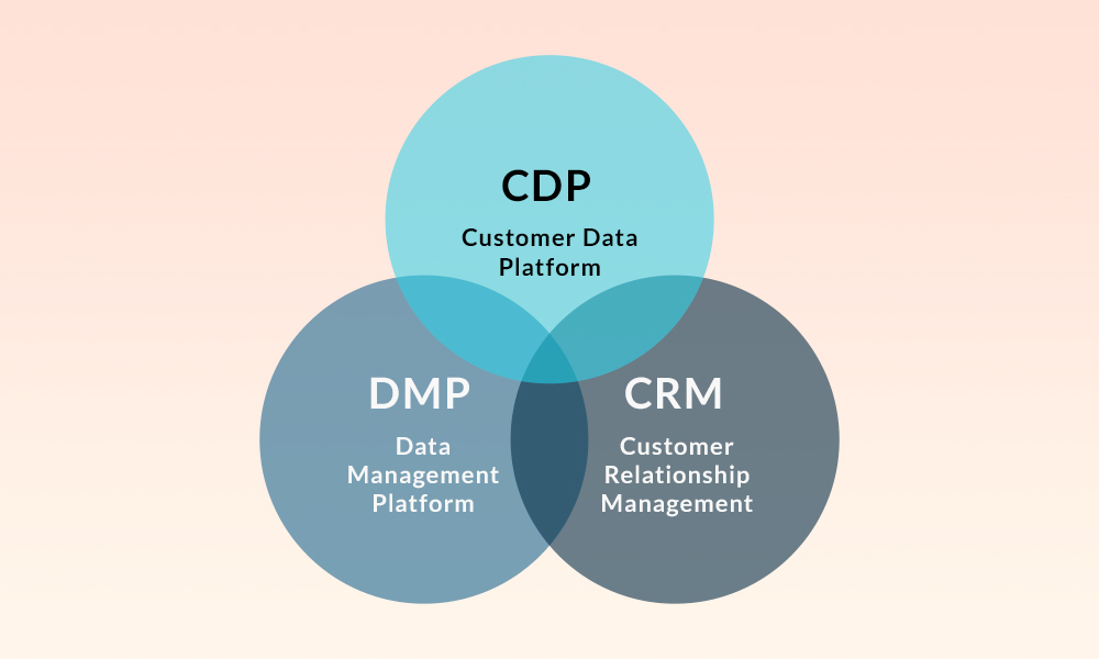 customer data platform (the difference between DMP) , customer data (the difference between CRM)