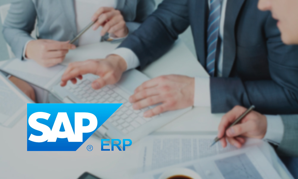 erp ecommerce integration (SAP)