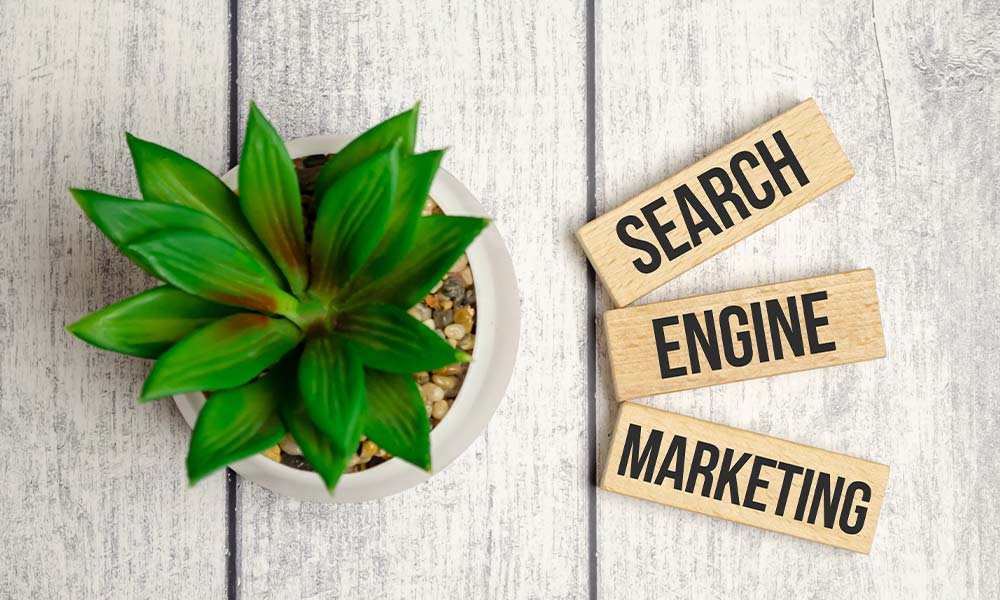 types of digital marketing (paid search engine optimisation SEM) , digital marketing channels (Google Ads)