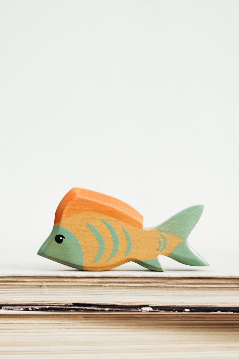 Wooden Toy Fish