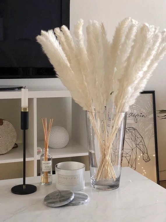 Ghislaine Pampas Reed Ghislaine Pampas Reed