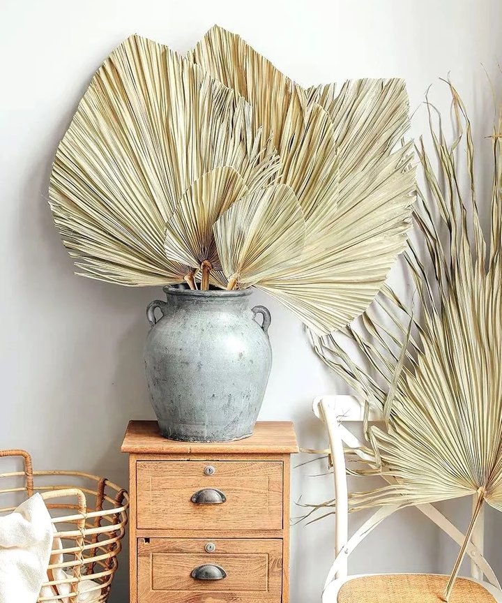 Glarra Palm Leaf Glarra Palm Leaf