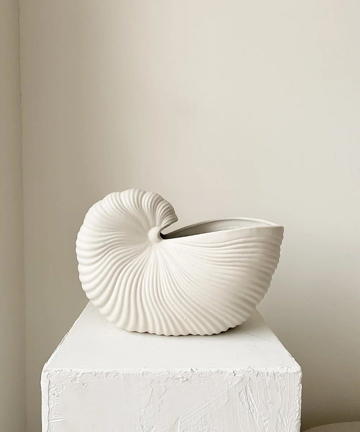 Kassiopeia Shellpot Kassiopeia Shellpot