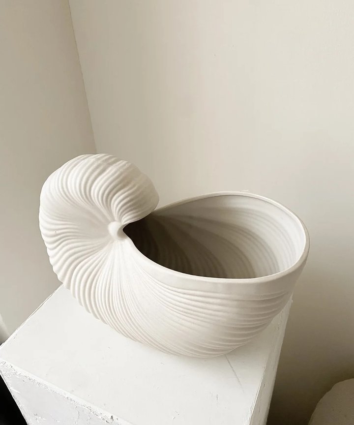 Kassiopeia Shellpot Kassiopeia Shellpot