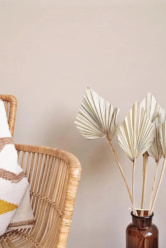 Giannia Palm Spears Giannia Palm Spears