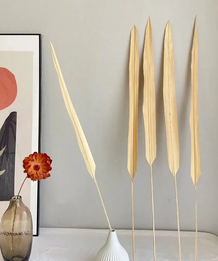 Gwen Bleached Long Stem Palm Gwen Bleached Long Stem Palm