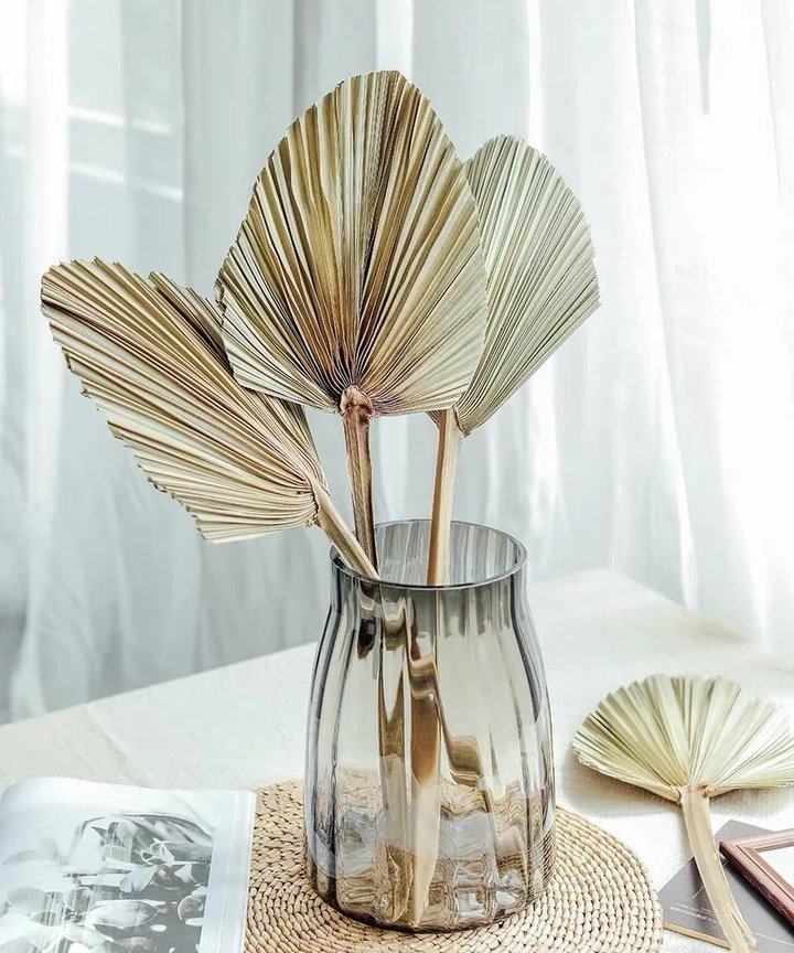 Glarra Palm Leaf Glarra Palm Leaf