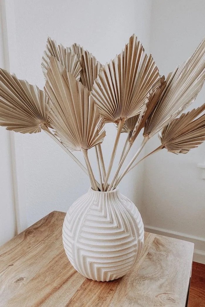 Giannia Palm Spears Giannia Palm Spears