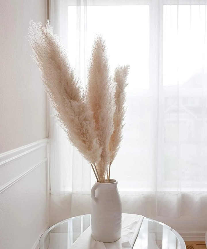 Gillinea Dried Pampas - Bundle Gillinea Dried Pampas - Bundle