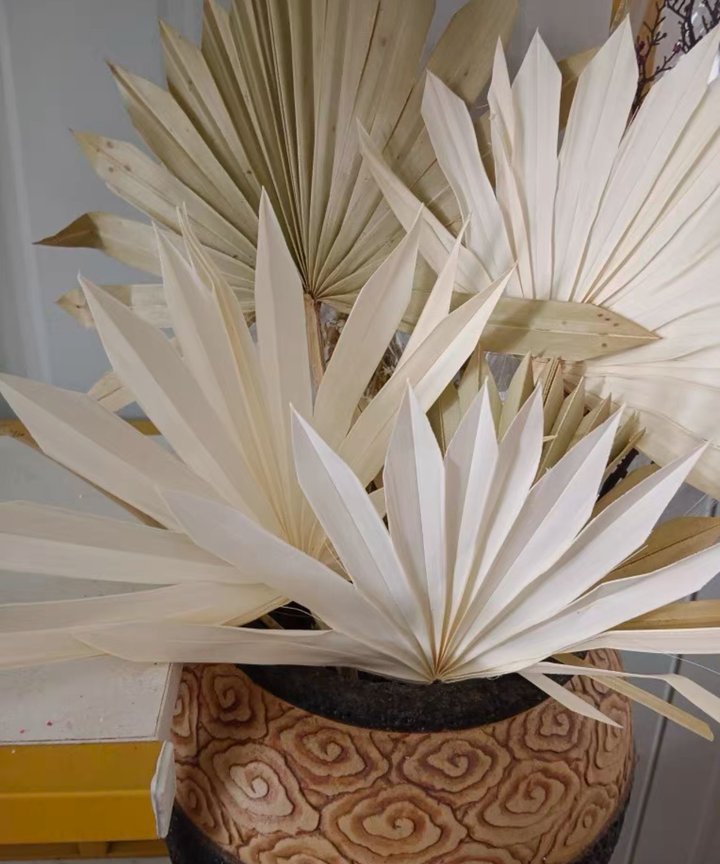 Gemma Sun Palms - Bleached Gemma Sun Palms - Bleached