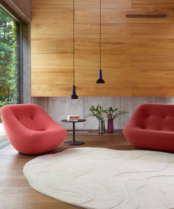 Regine Soft Irregular Rug Regine Soft Irregular Rug