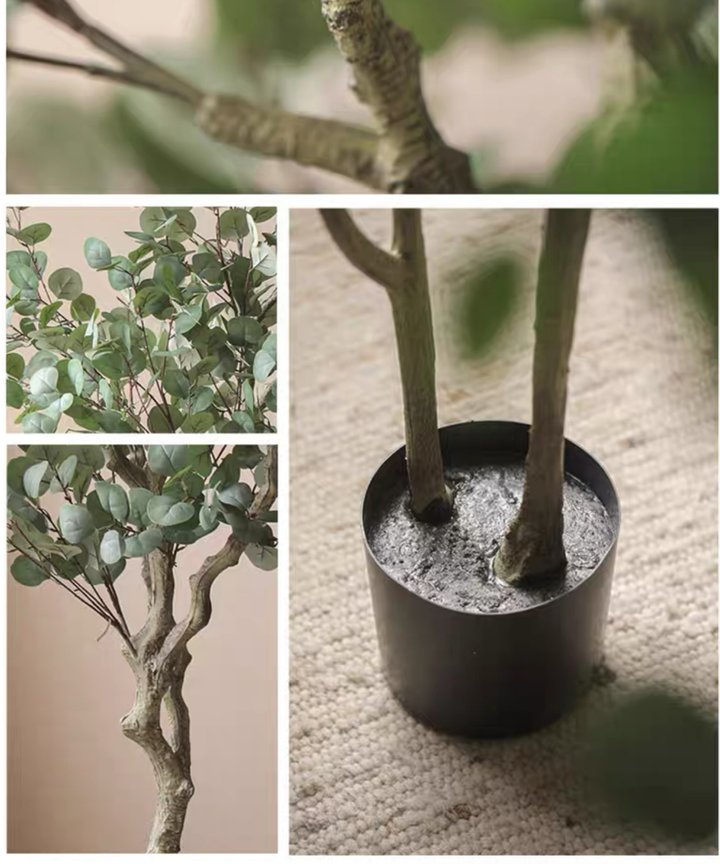 Nandina Eucalyptus Tree Nandina Eucalyptus Tree