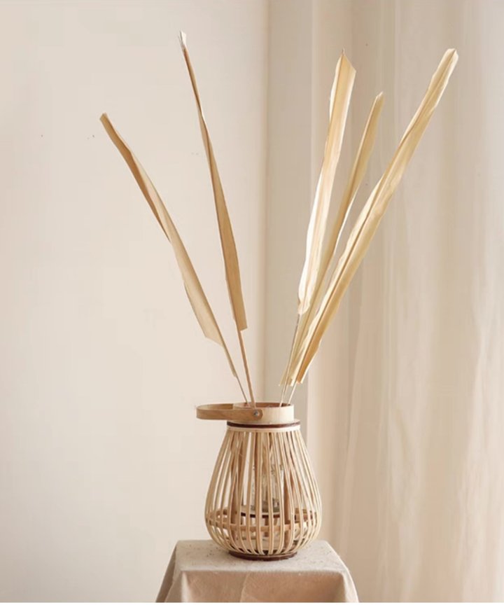 Gwen Bleached Long Stem Palm Gwen Bleached Long Stem Palm