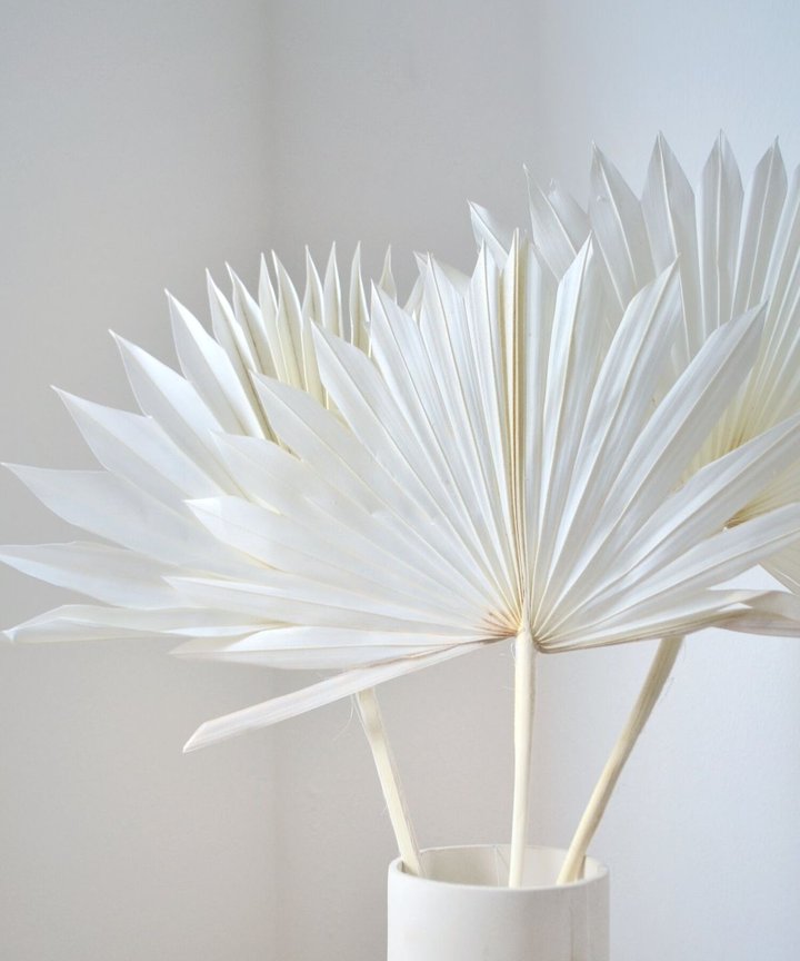 Gemma Sun Palms - Bleached Gemma Sun Palms - Bleached