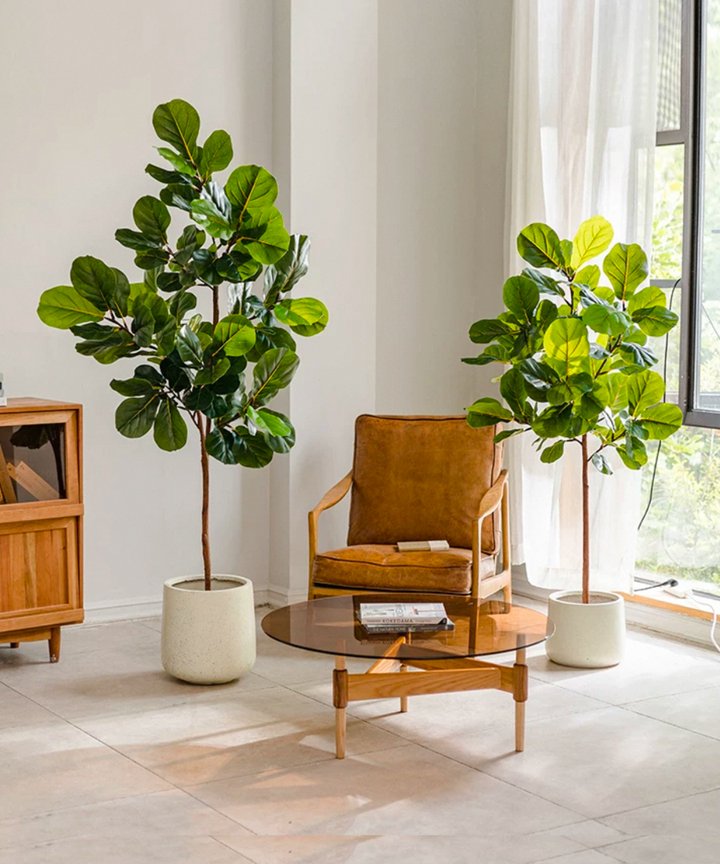 Nadira Fiddle Leaf Tree Nadira Fiddle Leaf Tree
