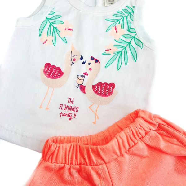 Flamingo Party Shorts & Tee Set