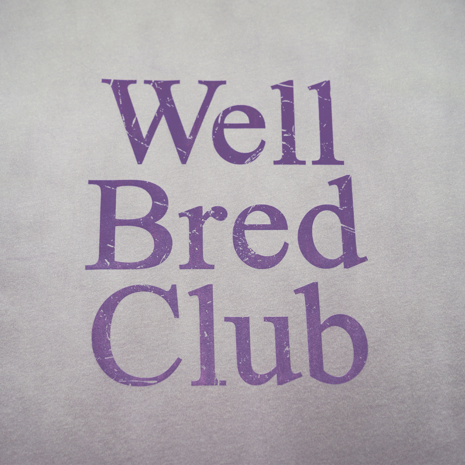 Wellbred Club "Font" Distressed Wsh Tee - Purple